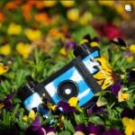 Camaras Pinhole 35mm