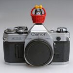 Zapata protectora - Imagen 5