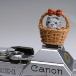 Zapata protectora - Imagen 8