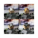 Protector de Zapata - Imagen 3