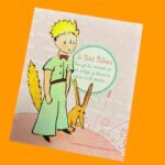 Paño microfibra limpieza 18x15cm